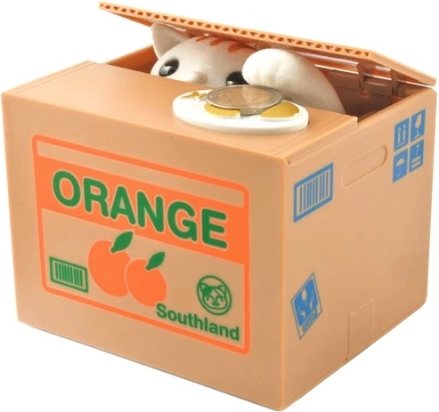 Smagi sąveika: katė, letena ir miaukimas