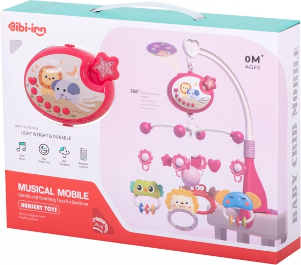 Raminanti žvaigždžių projekcija