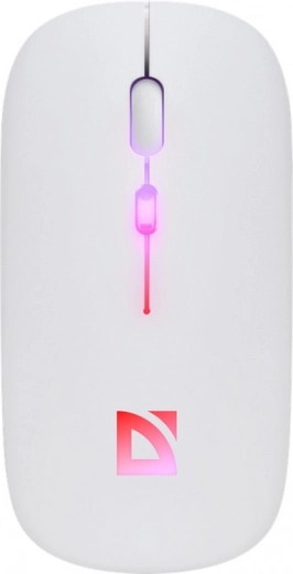 Dual wireless connection