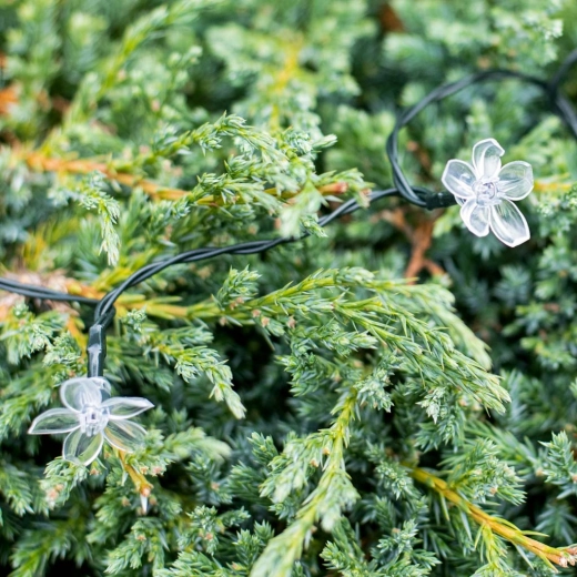 Gėlių dizainas ir spalvingas efektas