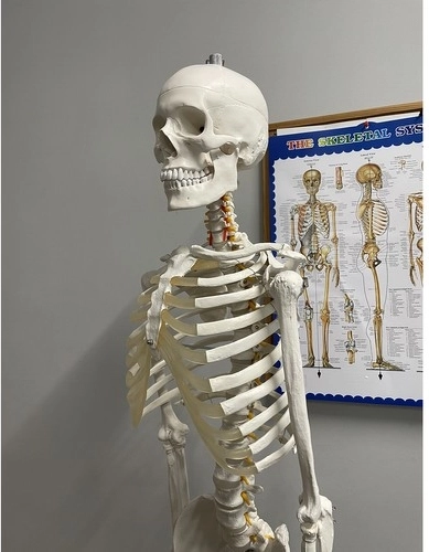 Mokomoji priemonė su plakatu