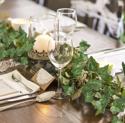 Bepriežiūrė elegancija