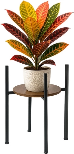 Modernus lofto dizainas