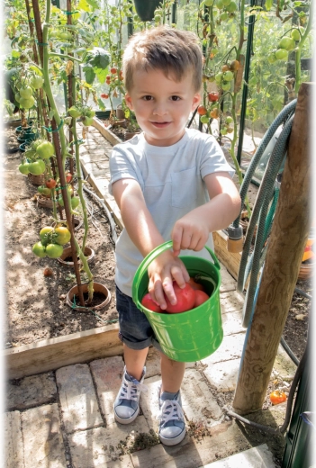 Ideal for harvesting and carrying