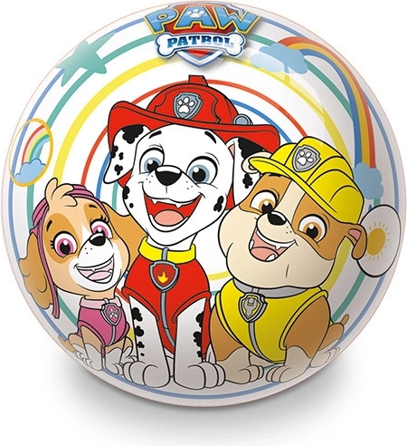 Populiarus „Paw Patrol“ motyvas