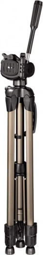 3D Rotating Head