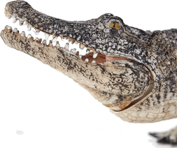 Bendradarbiavimas su ekspertais