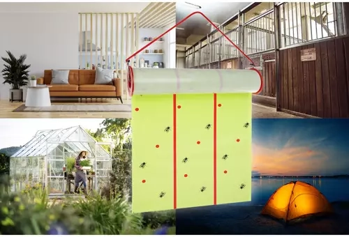 Netoksiška ir saugi