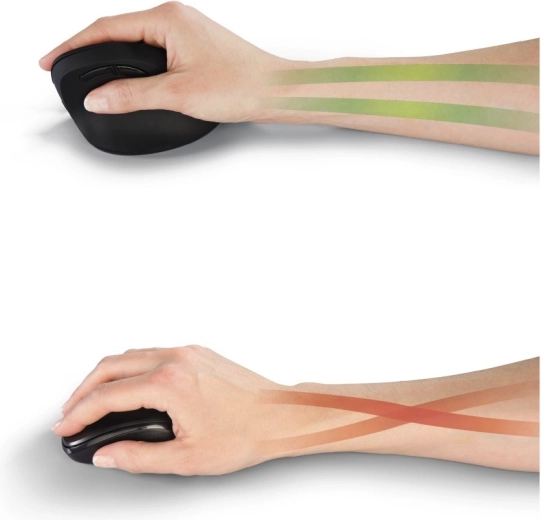 Vertikali ergonomika sveikesniam darbui