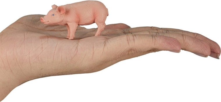 Compact size for small hands