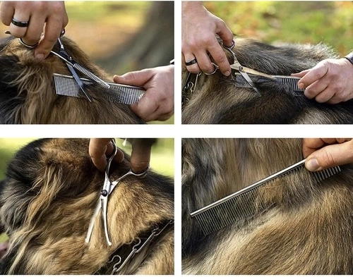 Didelis rinkinys su priedais dėkle