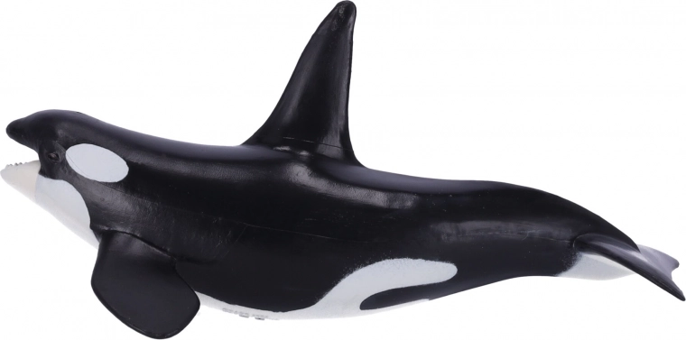 Edukacinė ir kolekcinė