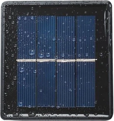 Atspari bet kokiam orui