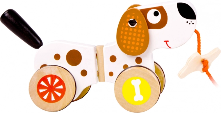 Interactive and Fun Learning