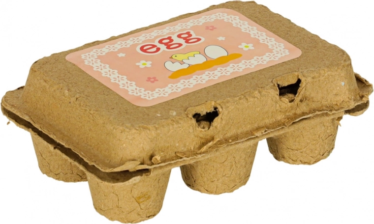 Realistiška kartoninė dėžutė 6 kiaušiniams