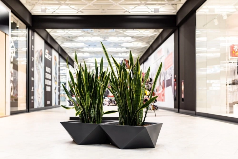 Stilinga geometrija šiuolaikinėms erdvėms