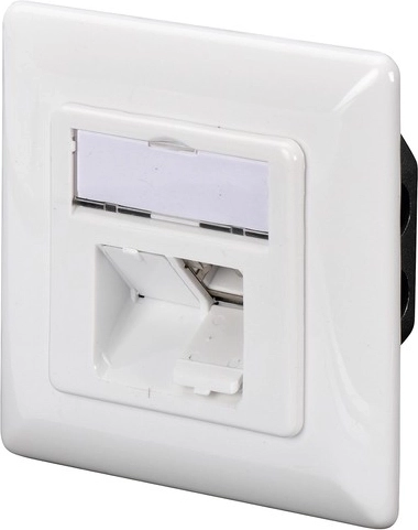 Two RJ45 Ports