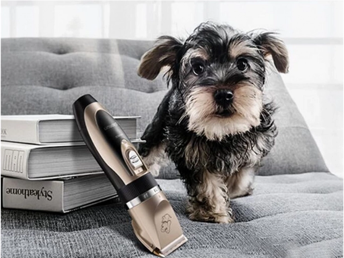 Cordless freedom and quiet operation