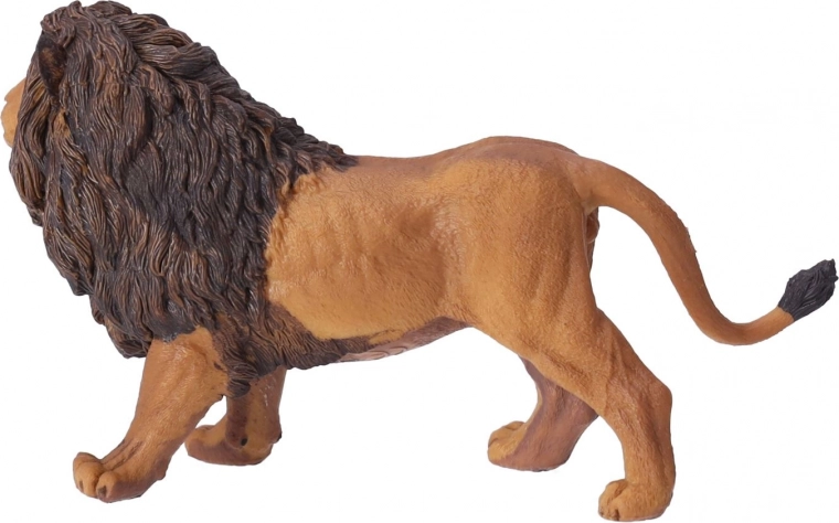 Tinka mokymuisi ir kolekcijoms