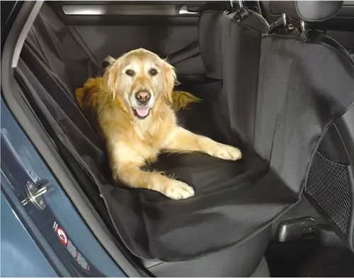 Patogi erdvė šuniui be netvarkos