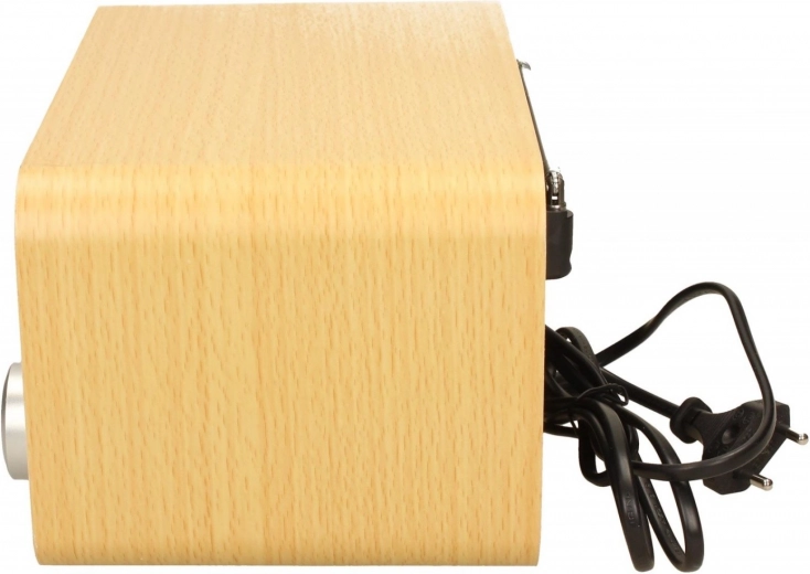 Medinė garso kamera geresnei akustikai