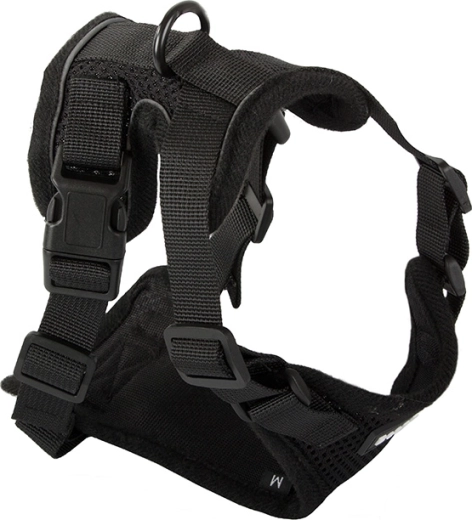 Saugus užsegimas ir patikima kontrolė