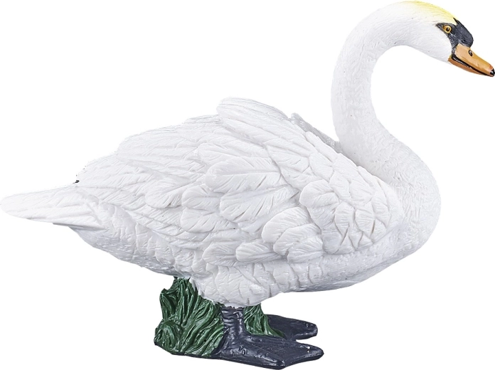Educational and decorative use