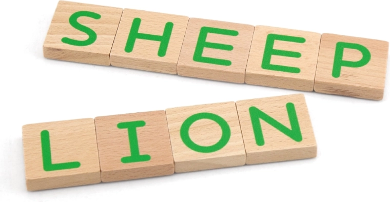 Educational Toy