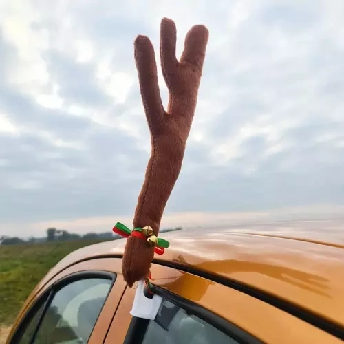 Kalėdinio dizaino ragai