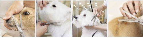 Profesionali ergonomika ir tolygus darbas