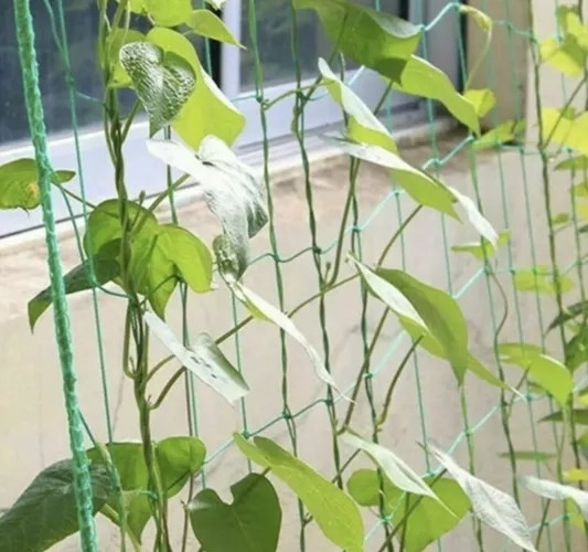 Atspari medžiaga su sutvirtintomis jungtimis