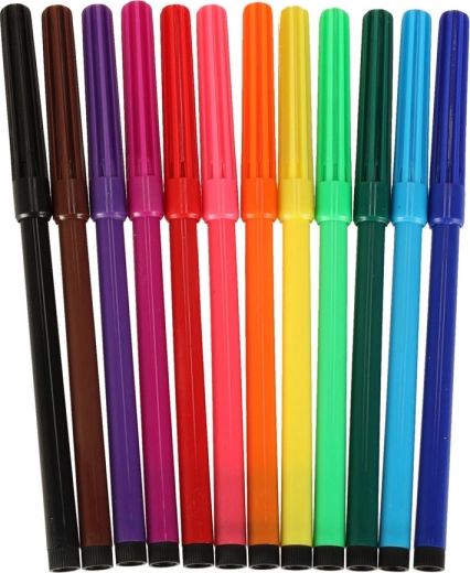 12 spalvotų flomasterių ir tvarka ant stalo