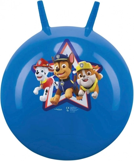 Pusiausvyros ir koordinacijos lavinimas