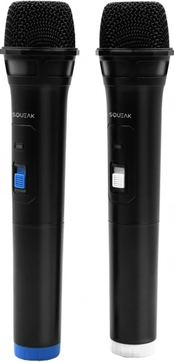 Two microphones for duets and hosting