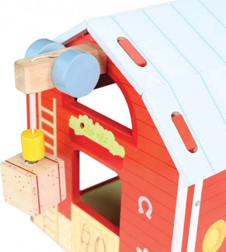 Funkcinis magnetinis keltuvas