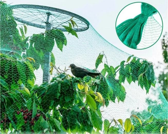 Neryški ir natūraliai deranti žalia spalva