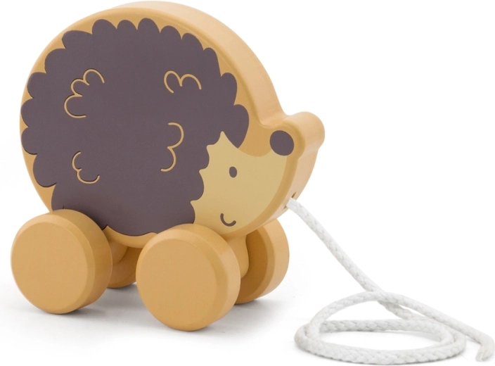 Skatina motorinius įgūdžius