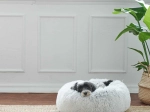Designer pet bed