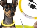 Illuminating LED Collar for Dogs and Cats with USB Charging and Adjustable Length