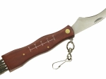 Folding mushroom knife with brush and sheath