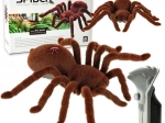Nuotolinio valdymo lenktyninė tarantula su mirksinčiomis akimis