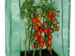 Kompaktiškas sodo šiltnamis su plėvele 100 × 50 × 150 cm